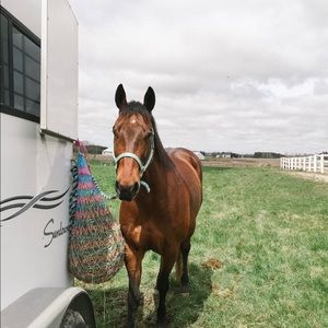 Meet your Posher, Tara